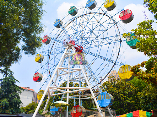 Fair Ferris Wheel