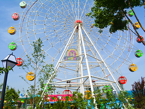 Giant Ferris Wheels