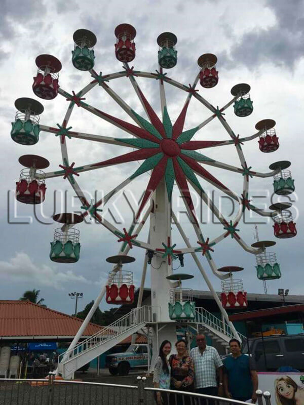 6ferris wheel ride